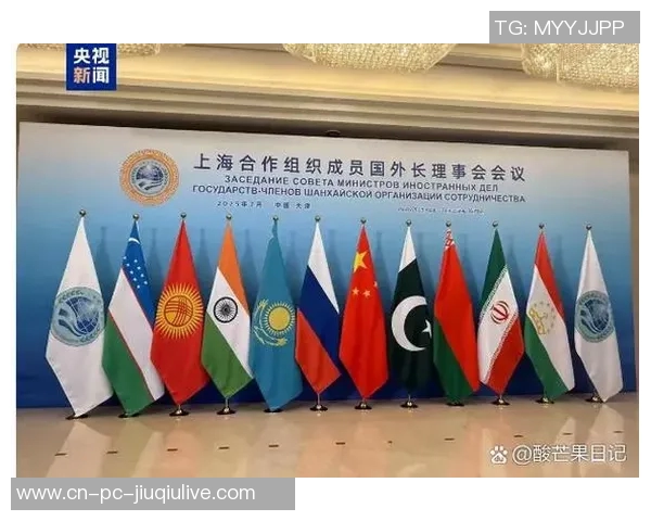 哈萨克斯坦与中国的友谊与合作新篇章探讨两国关系的未来发展与机遇